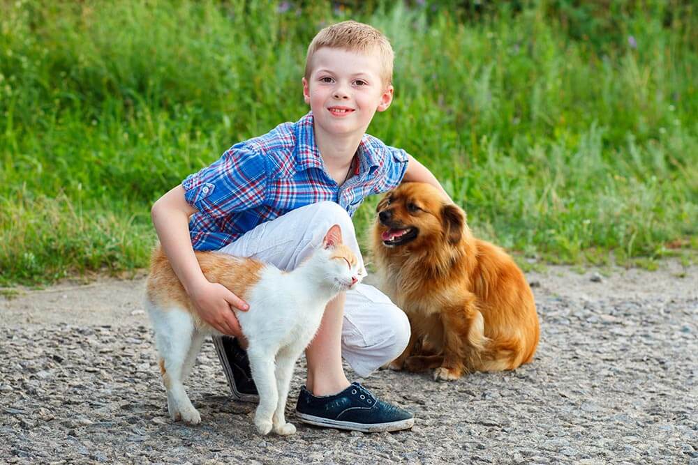 Boy with cat and dog sitting on the road